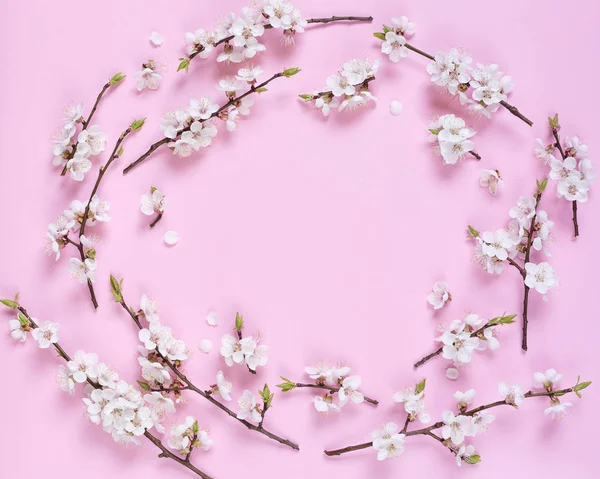 Pembe Bir Arka Plan Üzerinde Beyaz Bahar Çiçek Desen Yaptı Stok Fotoğraf