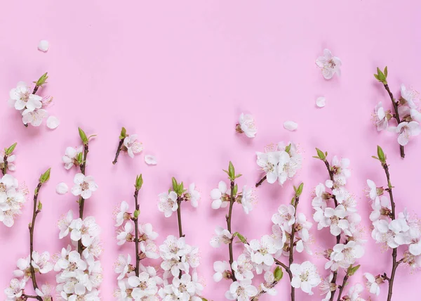 Patroon Gemaakt Van Witte Lentebloemen Een Roze Achtergrond Samenstelling Van Rechtenvrije Stockfoto's