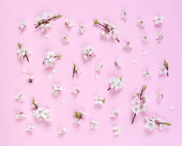 Pembe Bir Arka Plan Üzerinde Beyaz Bahar Çiçek Desen Yaptı Stok Resim