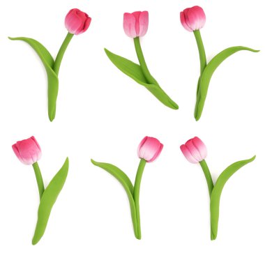 Eliyle hamuru yapılan Lale