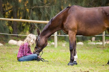 Güzel zerafet cowgirl atı ile