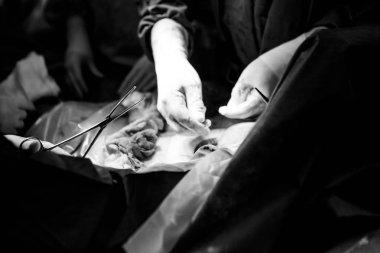 Tiyatro işletim işlemi.