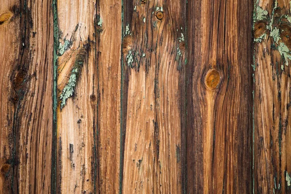 Texture of the old woden Door — Stock Photo, Image