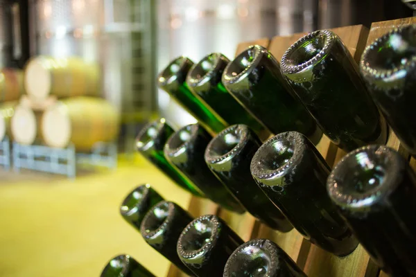 Champagne bottles in a wine rack — Stock Photo, Image