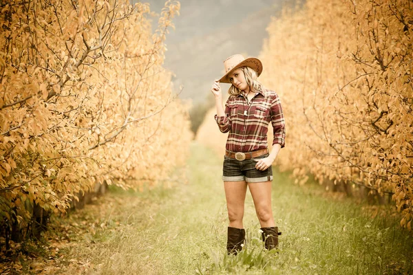 Portret van mooie elegantie cowgirl — Stockfoto