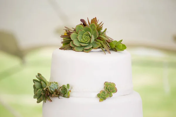 Όμορφη γαμήλια τούρτα — Φωτογραφία Αρχείου