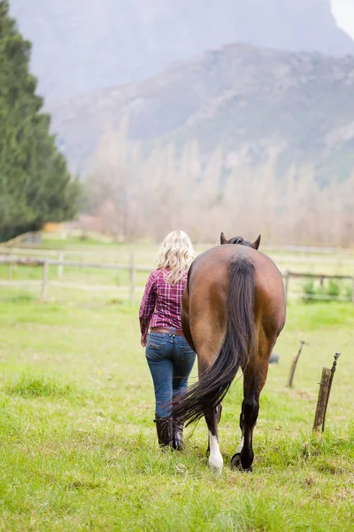 Beautiful elegance   cowgirl with horse — Stock Photo, Image