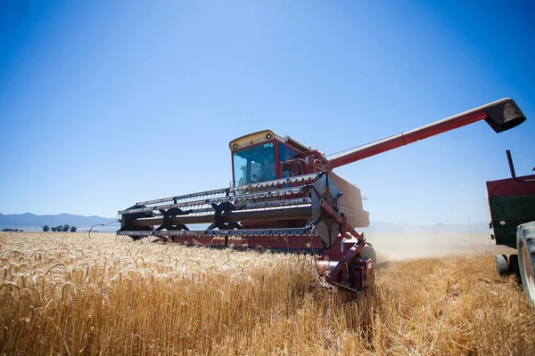 Wide angle view of a combine harvester — Stock Photo, Image