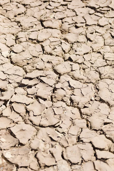 Terreno beige agrietado —  Fotos de Stock