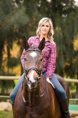 Güzel zerafet cowgirl atı ile
