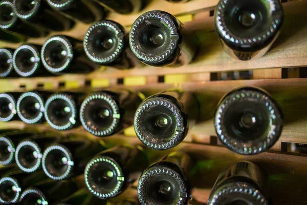 Garrafas de champanhe em um rack de vinho — Fotografia de Stock