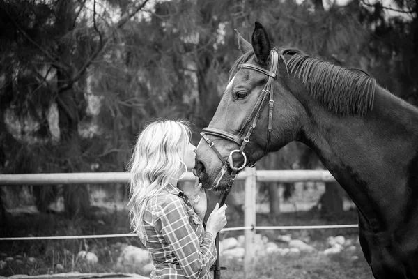 Bella eleganza cowgirl con cavallo — Foto Stock