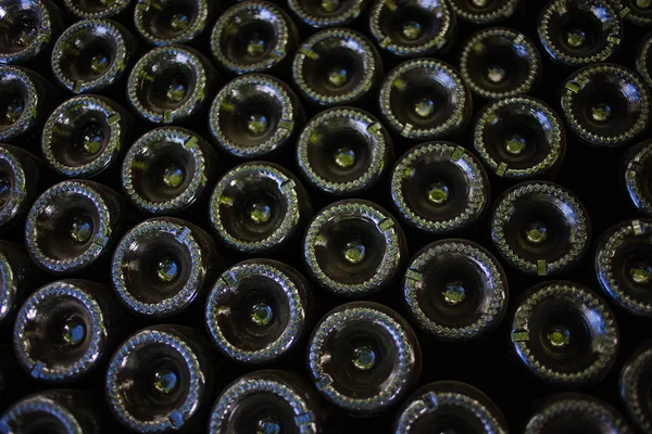 Garrafas de champanhe em um rack de vinho — Fotografia de Stock