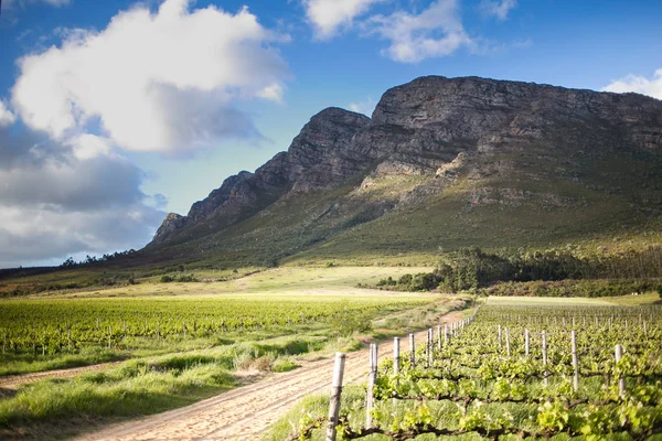 Bergen i den västra Kapprovinsen i Sydafrika — Stockfoto