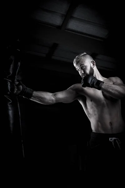 Male Athlete boxer — Stock Photo, Image