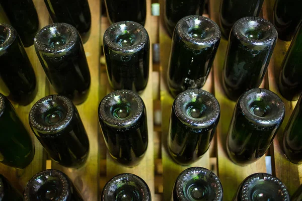 Garrafas de champanhe em um rack de vinho — Fotografia de Stock