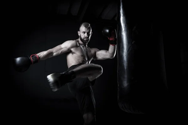 Boxeador atleta masculino —  Fotos de Stock