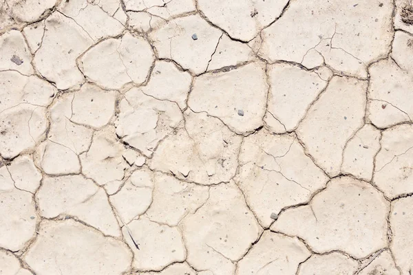 Dry beige ground — Stock Photo, Image