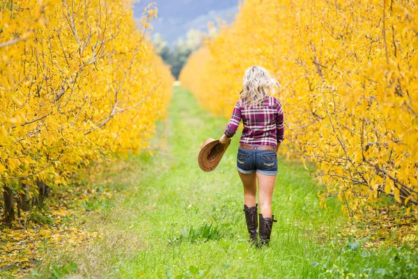 Portrait of Beautiful elegance   cowgirl — Stock Photo, Image