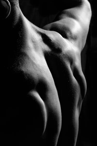 Mužské fitness model zobrazeno svaly — Stock fotografie