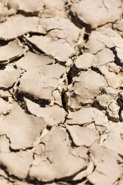 Terreno beige agrietado —  Fotos de Stock