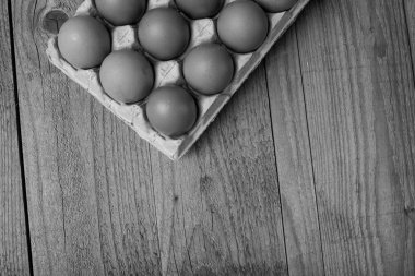 kahverengi yumurtalar kutuda