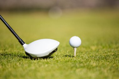 Golf sürücü ve bir golf topu