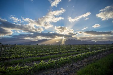 Dramatik manzara resim 