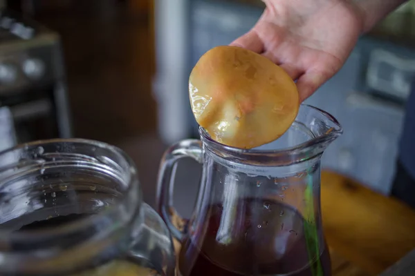 Lépésről lépésre, hogyan lehet a Kombucha tea — Stock Fotó