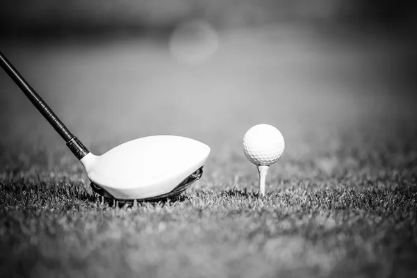 Golffører og golfball – stockfoto