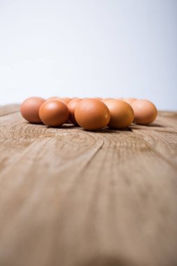 kahverengi yumurta yığını