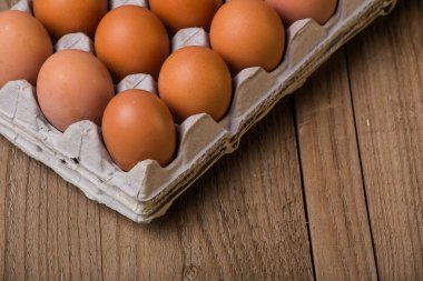 kahverengi yumurtalar kutuda