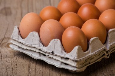 kahverengi yumurtalar kutuda