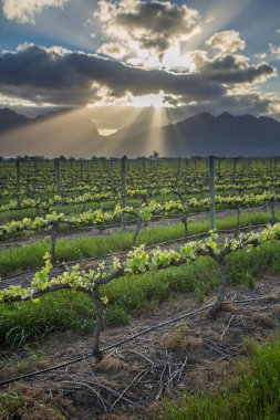 Dramatik manzara resim 