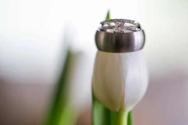 Elegant wedding rings — Stock Photo, Image