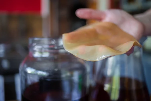 Adım adım nasıl Kombucha çayı