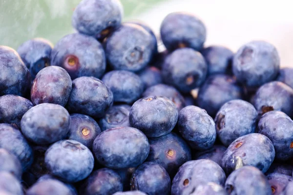 Frisch gepflückte blaue Beeren — Stockfoto