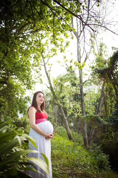 Retrato de uma mulher grávida — Fotografia de Stock