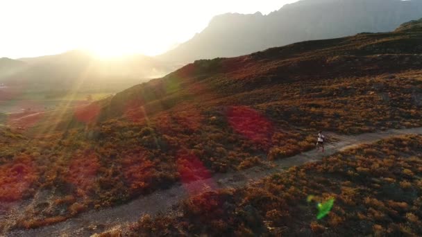 Male fitness model running along a trail — Stock Video