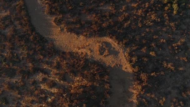 Modelo de fitness masculino corriendo a lo largo de un camino — Vídeos de Stock