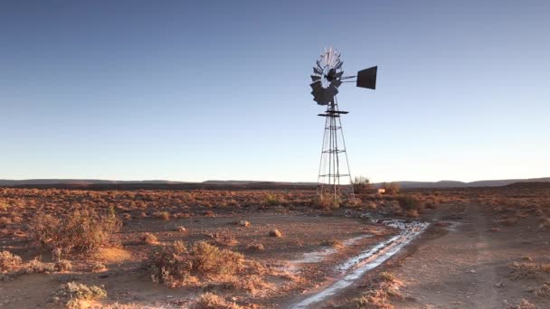 Domestic wind turbine spinning — Stock Video