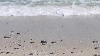 Uilenkraalsmond Haliç Gansbaai hemen dışında