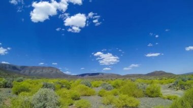Karoo Milli Parkı - Güney Afrika