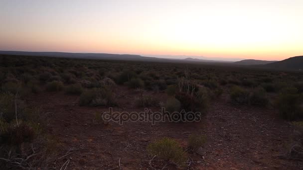 アフリカ南部のカラハリ砂漠に表示します。, — ストック動画