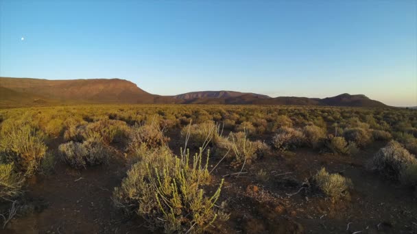 Kijk op de Kalahari in zuidelijk Afrika, — Stockvideo