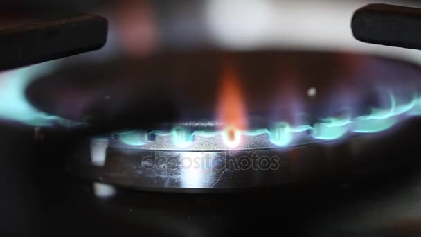 Bruciatore a gas su una stufa a gas — Video Stock