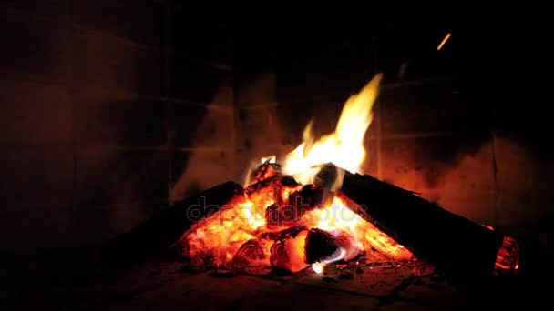 Feu brûlant prêt à commencer la cuisson — Video