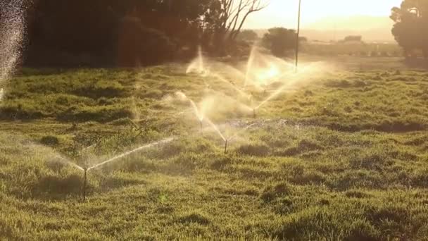 물을 분사 하는 스프링클러의 클로즈업 — 비디오