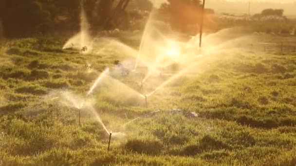 Close up van sprinklers sproeien van water — Stockvideo