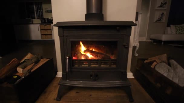 Cozy fireplace with wood burning to warm up — Stock Video